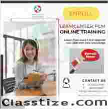 Online Training For Teamcenter PLM By Proexcellency