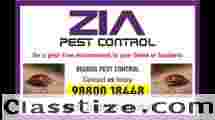 Zia Pest Control | Bed Bugs Control | Off Upto 50% Residence | Call Now | 297