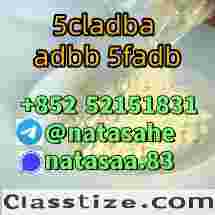 5cladba 5cl yellow powder 5cladba from best supplier