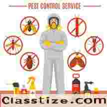 Keep Every Corner Safe with Expert Pest Control Services