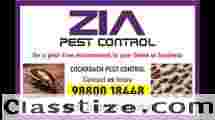 Cockroach Service | No More Cockroaches | Contact for Special discount | 341