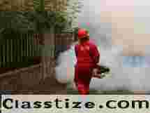 Pest Control Services for a Cleaner, Safer Space