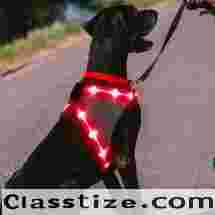 RadPaws LED Harness #no.1 Official Website -Amazing result 2026 