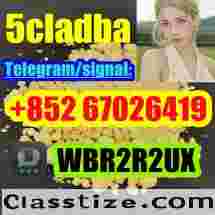 5cladba 5cladba Yellow Powder 5CL-ADB-A 5F-Adb 5Fadb