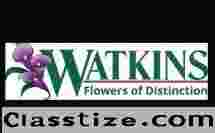 Watkins Flowers - north raleigh florist