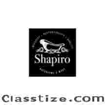 Shower &  Bath | NH Custom Showers Installation in NH - Shapiro Bathrooms &  More
