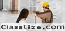 Best Pest Control Services In Chennai