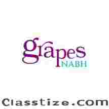NABH 6th Edition Malayalam Explanation | NABH Grapes