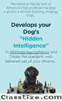 Revealed at last by one of America's top professional dog trainers, a simple training strategy that…
