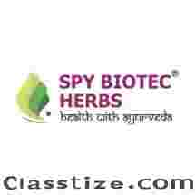 Spy Biotec Herbs: Trusted Growth Through Ayurvedic PCD Franchise 