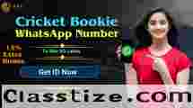 Obtain Your Cricket Bookie Whatsapp Number Provider 