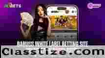 Launch Your Babu88 Betting Website with Bdbetsolution
