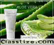Why Your Oily Skin Needs Aloe Vera in a Green Tea Face Wash - Greenopia