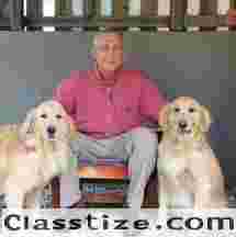 Boulevard Animal Hospital