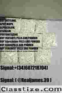 Supply α-PHiP α-PiHP Apihp Eutylone Molly mdma dmt 