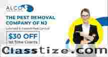 Yellow Jacket Removal – ALCO Animal & Pest Control