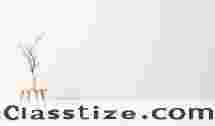 Book Review Blogs in india 