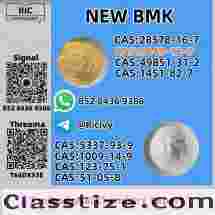 5449-12-7 New B.MK Glycidic Acid Powder 