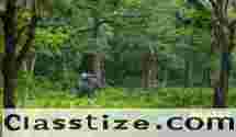 Dooars Tour Package from Kolkata – Explore the Wild Beauty of North Bengal