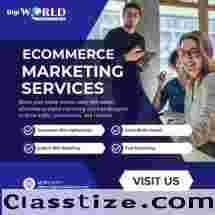 How to Increase Store Revenue with eCommerce Digital Marketing Services