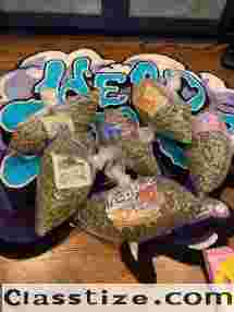 whatsap/Signal::+(34)607218704) BUY FALSE PASSPORTDRIVER'S LICENSE (DRIVER'S LICENSE),CLONE CARDS/FAKE BANKNOTES/CSDHAPP,ZELLE,PAYPAL,BITCION FLIPS AND INVESTMENTS/ IDENTIFICATION CARD, FALSE VISA/GHB/GBL/LSD/MDMA/HERION/OZEMPIC/SEXANDA/WEGOVEY/WEED/SHROOMS/SHARD/WAX