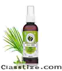 Before the Itch Begins… You’re Already Ready