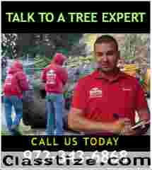 Tree Pruning in NJ – Amazing Tree Services