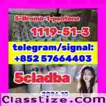 1119-51-3 | 5-Bromo-1-pentene |