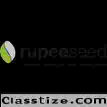 Digital Identity Verification Solution | Rupeeseed