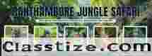 Ranthambore Jungle Safari – Experience the Ultimate Tiger Adventure in India