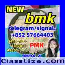 5449-12-7 New BMK Glycidic Acid (sodium salt)