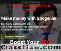 Googenie SEO Made Magic How To Rank Your Website