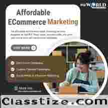 Affordable eCommerce Digital Marketing Services for Fast ROI