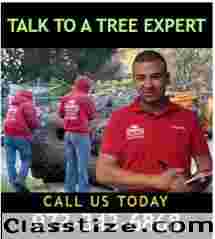 Professional Tree Trimming in NJ