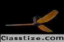 Robin Ceiling Fan Price List