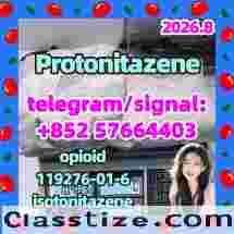 CAS 119276-01-6 Protonitazene