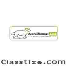 Dog Hostel in Gurgaon | Trusted Care While You’re Away | Aravali Kennel Zone