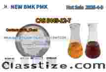 NEW P.MK B.MK CAS 5449-12-7 Raw Materials Precursor
