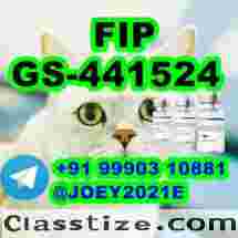  GS-441524 cat Fip Feline Infectious Peritonitis
