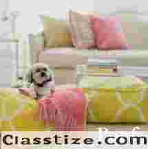 Shayan Ansari Bhadohi India, Saif Ansari Bhadohi India, Handmade Rugs from India