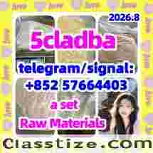 5cladba - 5cladba Yellow Cannabinoid Powder 5CL-ADB-A 5f-adb 5fadb Strong Effect suppliers