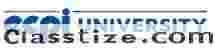 Family Nurse Practitioner (MSN) Degree 100% Online | Master of Science in Nursing