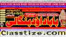 online istikhara for love marriage vashikaran specialist love problem solution astrologer E1
