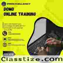 Top leaders best Domo Online Training from experts with Proexcellency 