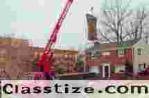 Tree Removal Service in NJ – Safe & Reliable