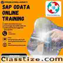 Become a SAP Odata Expert: Hands-On Learning for Success