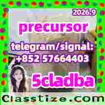 5cladba raw material 5CL-ADB-A precursor