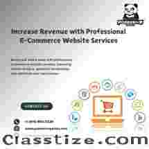 Increase Revenue with Professional E-Commerce Website Services