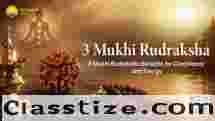 3 Mukhi Rudraksha for Confidence Strength and Positive Energy