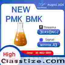 BMK 5449-12-7 PMK 28578-16-7 Chemical Reference